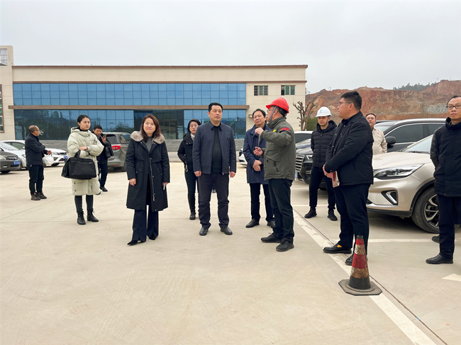 江西省項目辦領(lǐng)導調研公司宜黃縣生物質(zhì)熱電聯(lián)產(chǎn)項目-附圖1.jpg